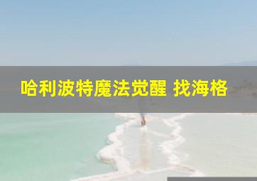 哈利波特魔法觉醒 找海格